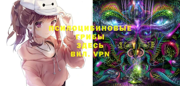 молекула духа Алексеевка