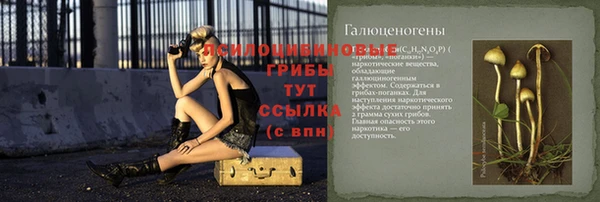 прущие крисы Алексин