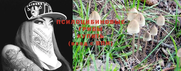 прущий лед Алзамай