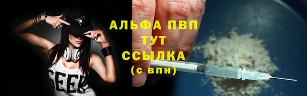 прущий лед Алзамай