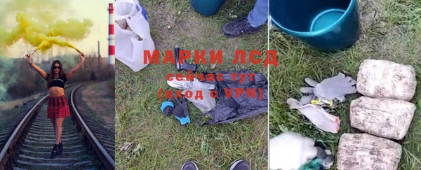 прущий лед Алзамай