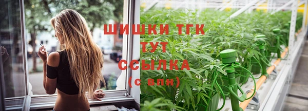 прущий лед Алзамай
